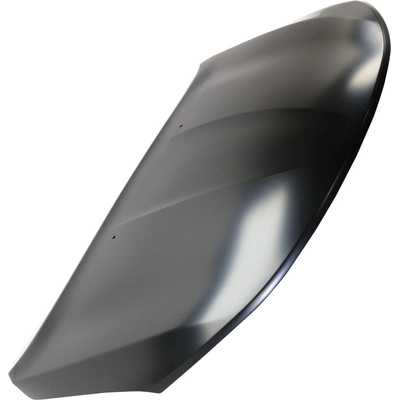 Hood Panel Assembly - CH1230311C pa1