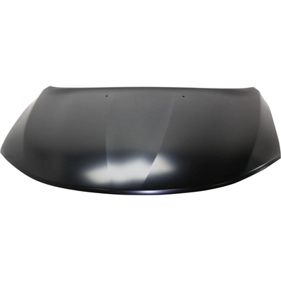 Hood Panel Assembly - CH1230311C pa2