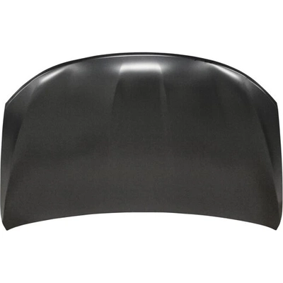 Hood Panel Assembly - CH1230320C pa1
