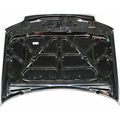 Hood Panel Assembly - FO1230202 pa2