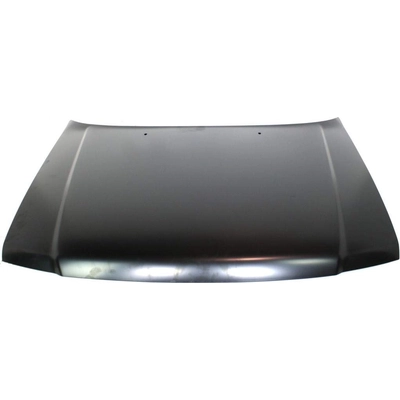 Hood Panel Assembly - FO1230204 pa2