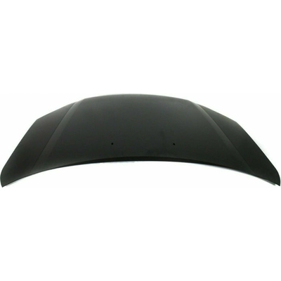 Hood Panel Assembly - FO1230257 pa2