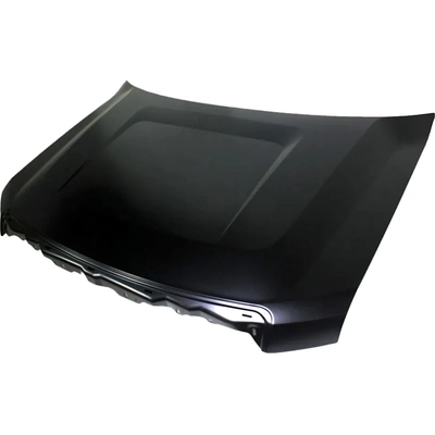 Hood Panel Assembly - FO1230274 pa1