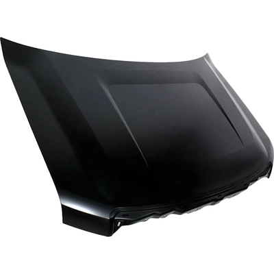 Hood Panel Assembly - FO1230274 pa2