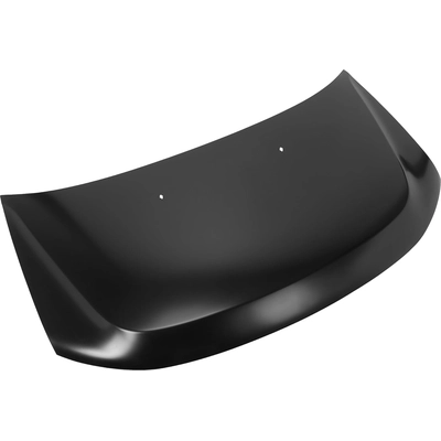 Hood Panel Assembly - FO1230295 pa1