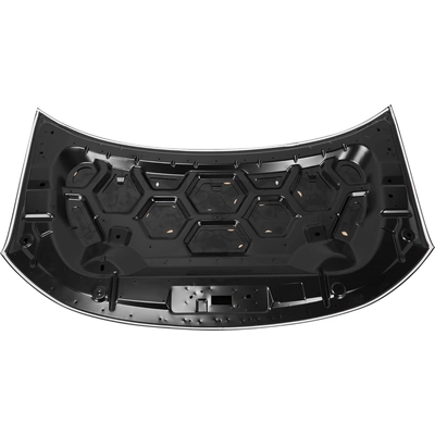Hood Panel Assembly - FO1230295 pa2