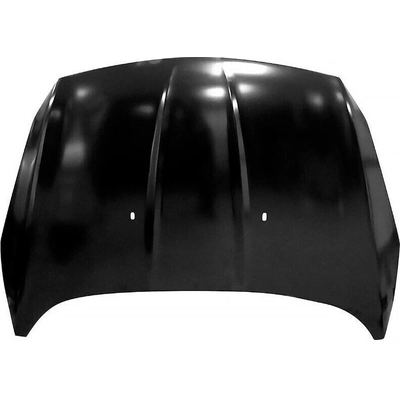 Hood Panel Assembly - FO1230299 pa2