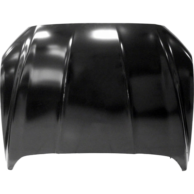 Hood Panel Assembly - FO1230301C pa1