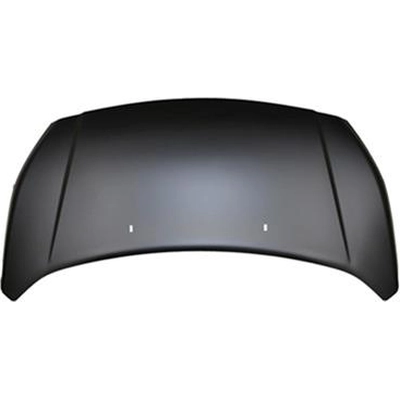 Hood Panel Assembly - FO1230306C pa1