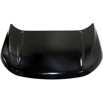 Hood Panel Assembly - FO1230311 pa1