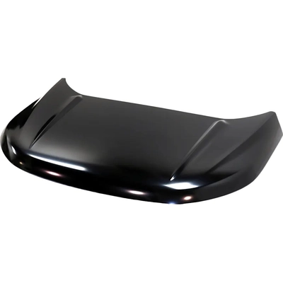 Hood Panel Assembly - FO1230311 pa2