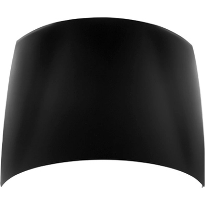 Hood Panel Assembly - GM1230224C pa1