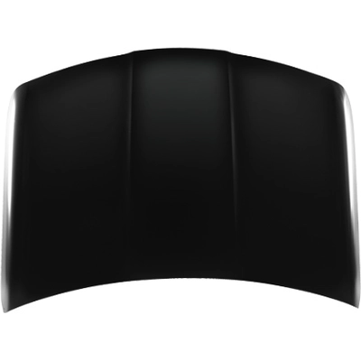 Hood Panel Assembly - GM1230278C pa1