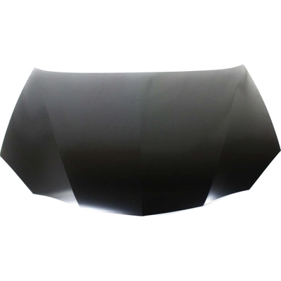 Hood Panel Assembly - GM1230296 pa1