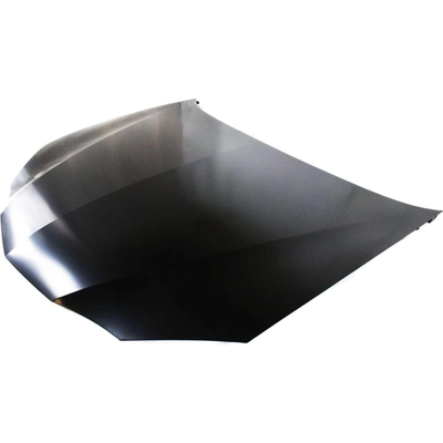 Hood Panel Assembly - GM1230296 pa2