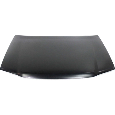 Hood Panel Assembly - GM1230319C pa1