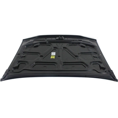 Hood Panel Assembly - GM1230319C pa2