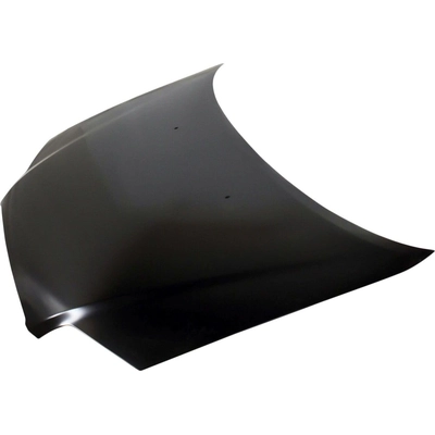 Hood Panel Assembly - GM1230336 pa2