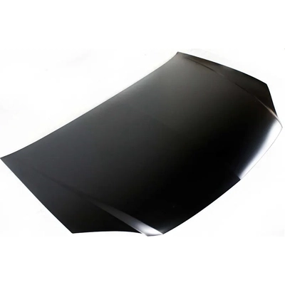 Hood Panel Assembly - GM1230340C pa2
