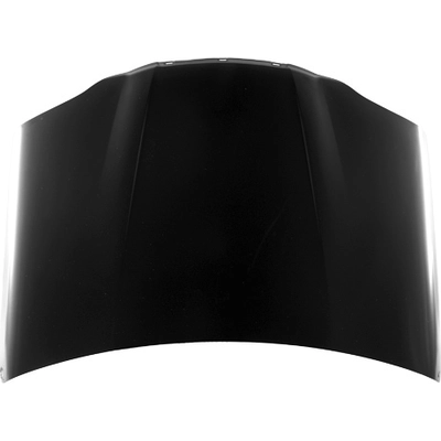 Hood Panel Assembly - GM1230351C pa1