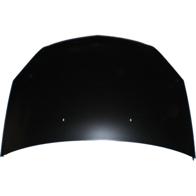 Hood Panel Assembly - GM1230356C pa1