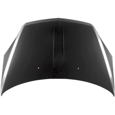 Hood Panel Assembly - GM1230366 pa1