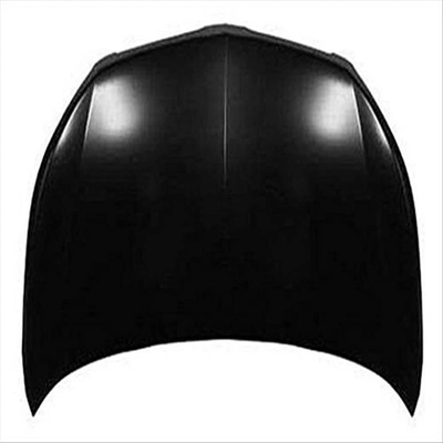 Hood Panel Assembly - GM1230384 pa1
