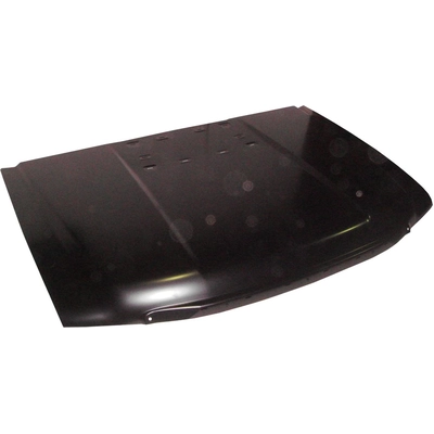 Hood Panel Assembly - GM1230402C pa1
