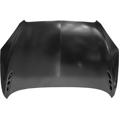 Hood Panel Assembly - GM1230406C pa1