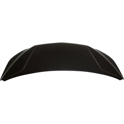Hood Panel Assembly - GM1230410 pa2