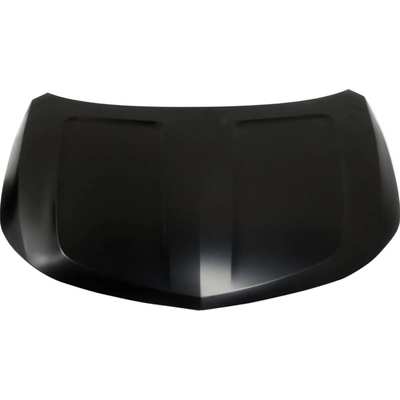 Hood Panel Assembly - GM1230423C pa1