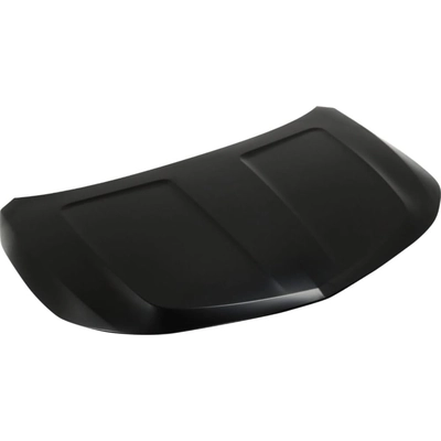 Hood Panel Assembly - GM1230423C pa2