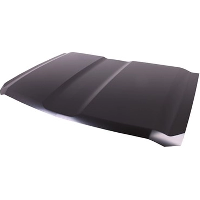 Hood Panel Assembly - GM1230446C pa1