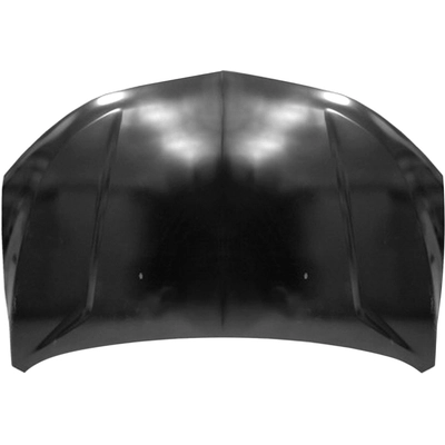 Hood Panel Assembly - GM1230450C pa1