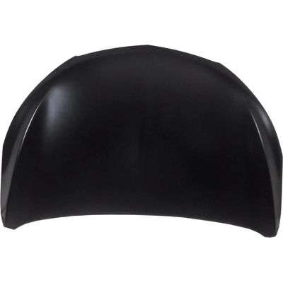 Hood Panel Assembly - GM1230454C pa1
