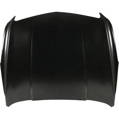 Hood Panel Assembly - GM1230459C pa1