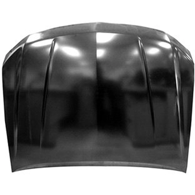 Hood Panel Assembly - GM1230461 pa1