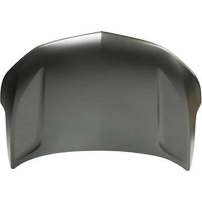 Hood Panel Assembly - GM1230466 pa1