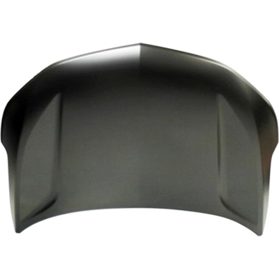 Hood Panel Assembly - GM1230466C pa1