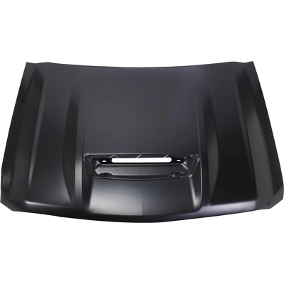 Hood Panel Assembly - GM1230469 pa1