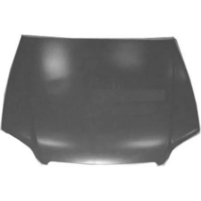 Hood Panel Assembly - HO1230135C pa1