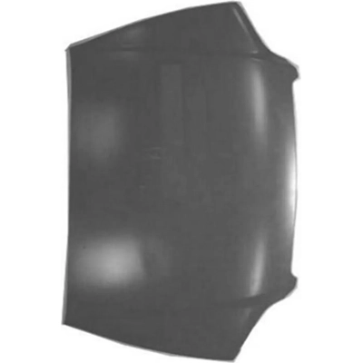 Hood Panel Assembly - HO1230135C pa2
