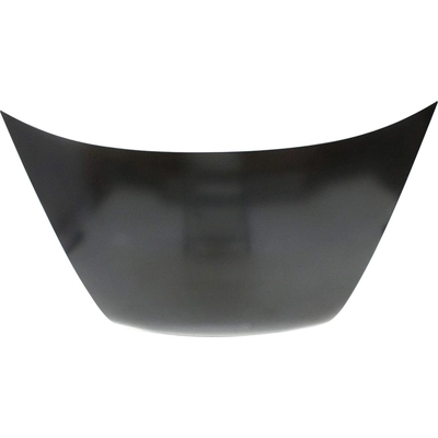 Hood Panel Assembly - HO1230138C pa2