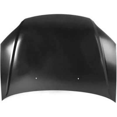 Hood Panel Assembly - HO1230145C pa2