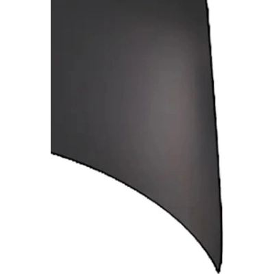 Hood Panel Assembly - HO1230148C pa2