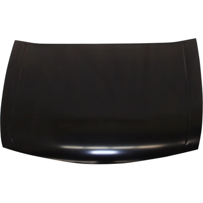 Hood Panel Assembly - HO1230155 pa1