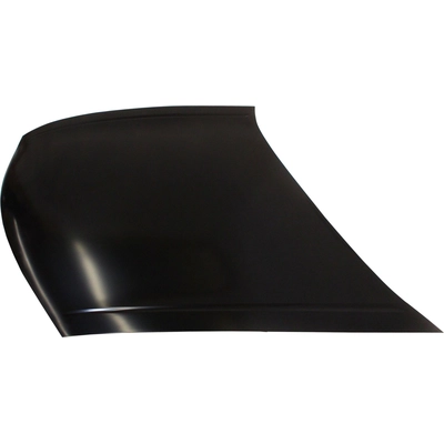 Hood Panel Assembly - HO1230155 pa2