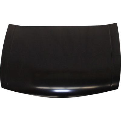 Hood Panel Assembly - HO1230155C pa1