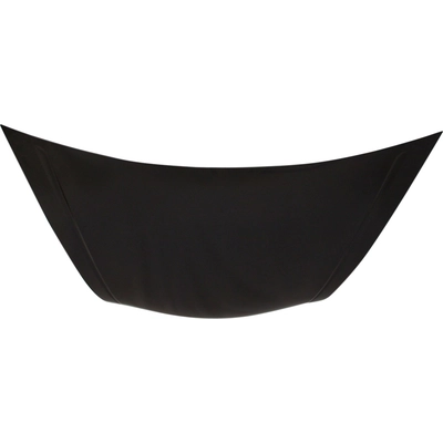 Hood Panel Assembly - HO1230155C pa2