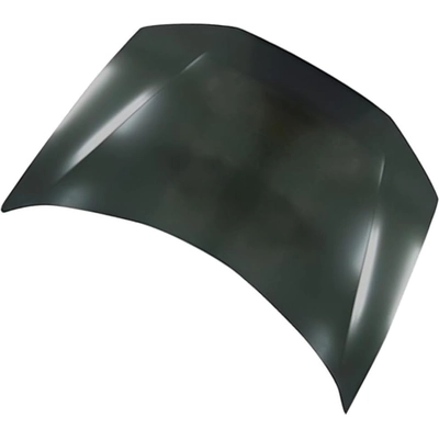 Hood Panel Assembly - HO1230165 pa1